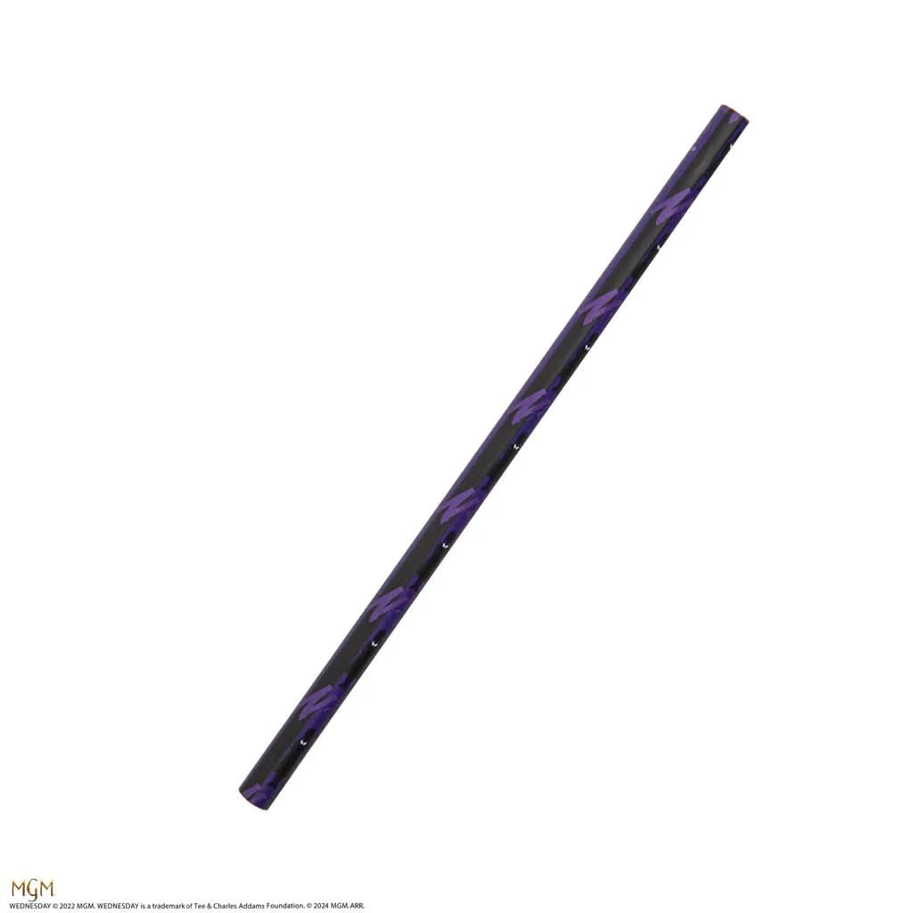 Wednesday Wednesday's Coffin Stationery Set CR5371