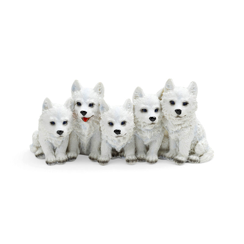 5 Mischievous Wolf Puppies WOLF49