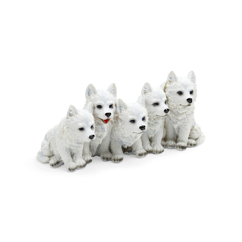 5 Mischievous Wolf Puppies WOLF49