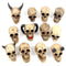 Skull World Figures WS129