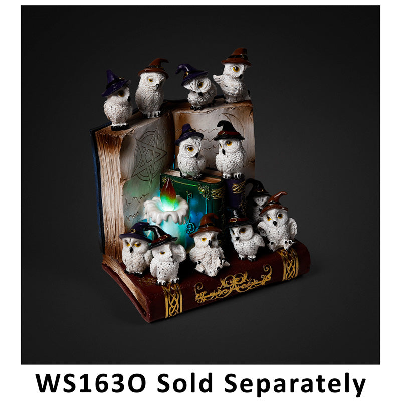 Witches Magical Black Cat & Wise Old Magical Owl World Figure LED Display Stand WS163B