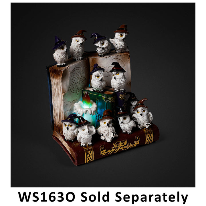Witches Magical Black Cat & Wise Old Magical Owl World Figure LED Display Stand WS163B