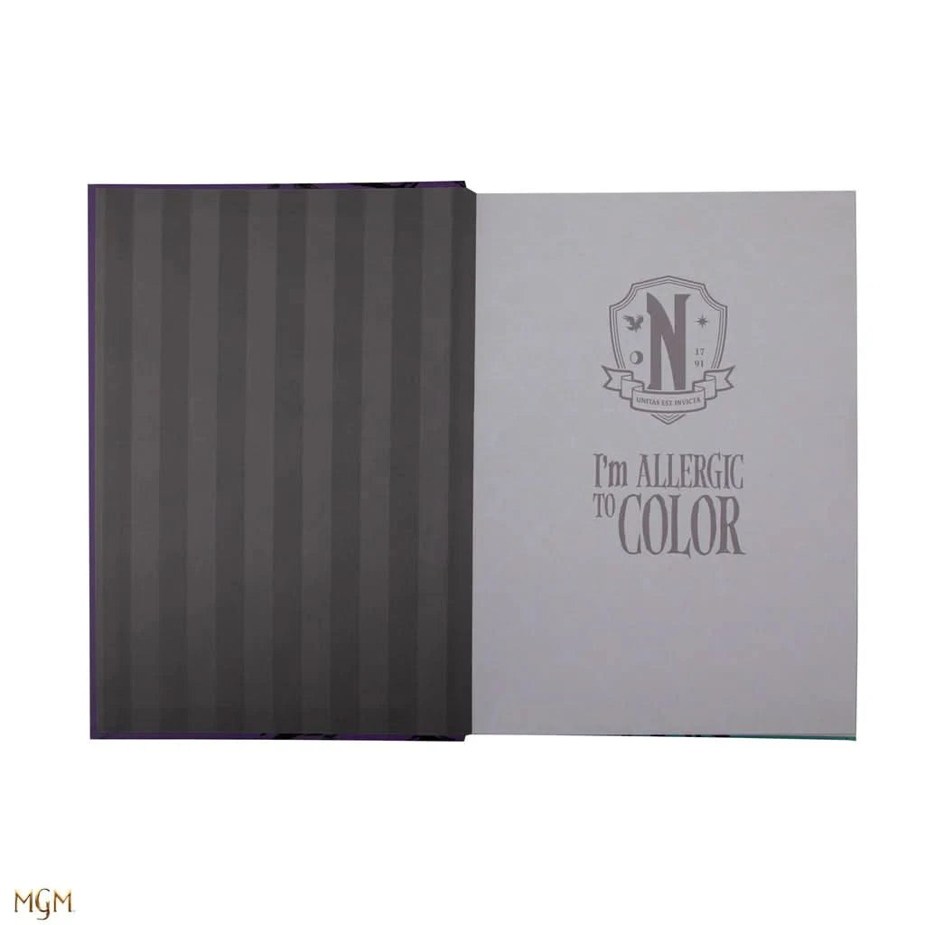 Wednesday And Enid Notebook CR5170