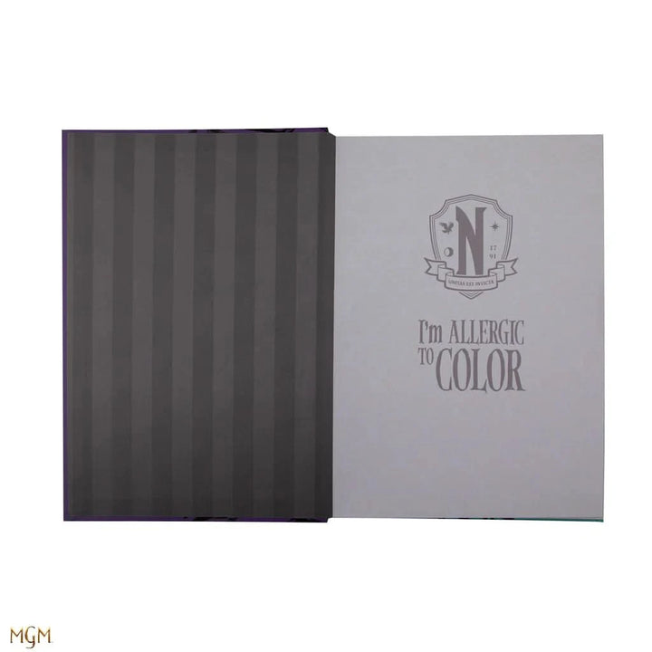 Wednesday And Enid Notebook CR5170