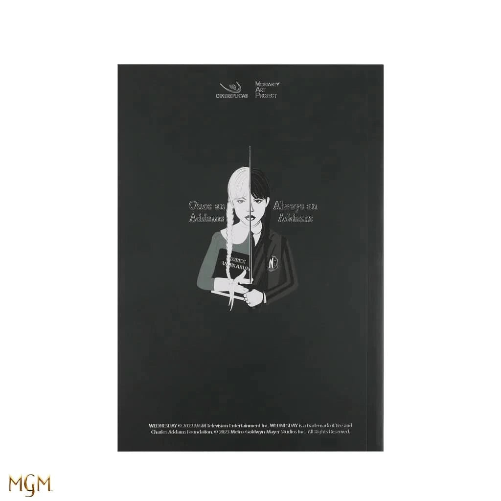 Wednesday With Cello Notebook CR5174