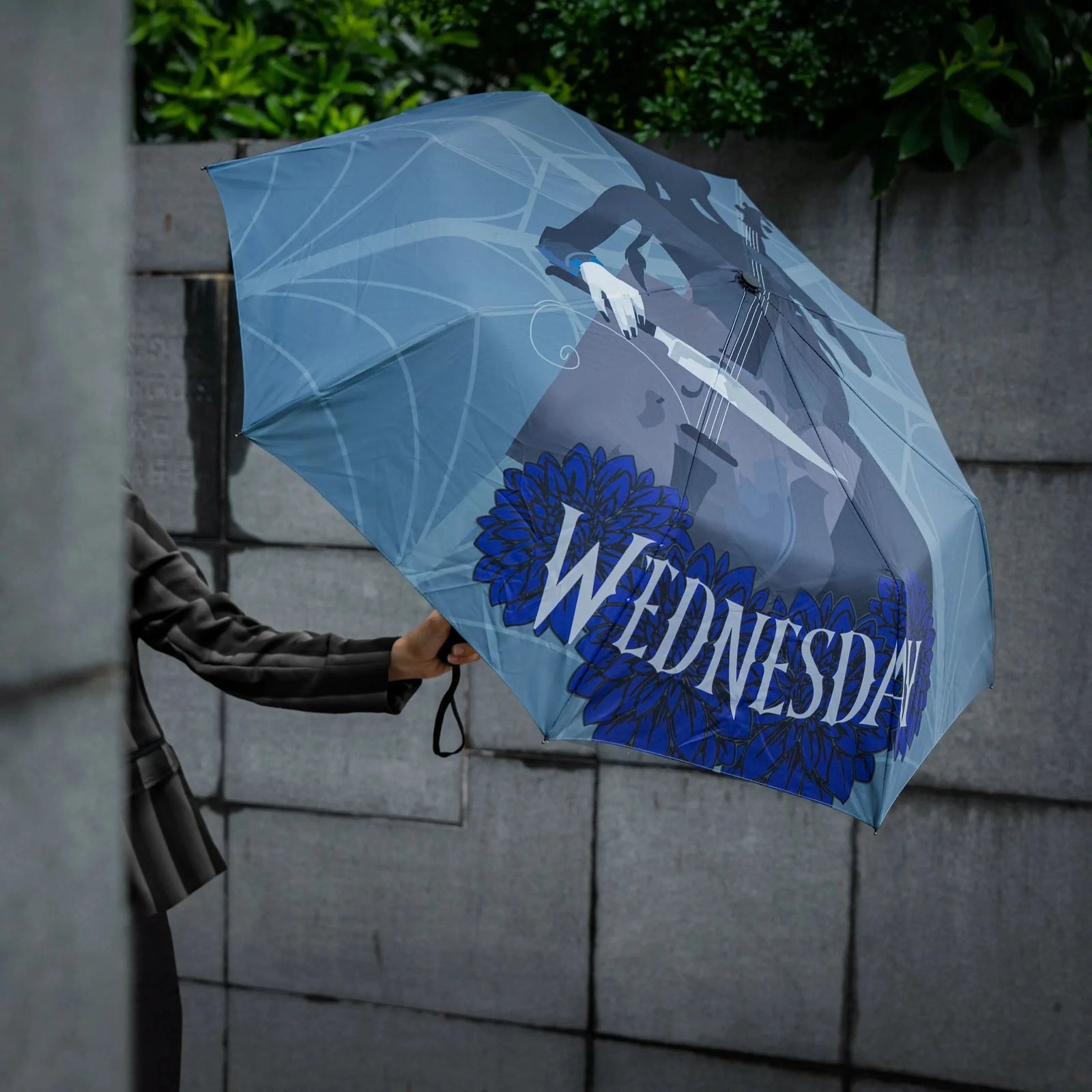 Wednesday With Cello Umbrella CR2071