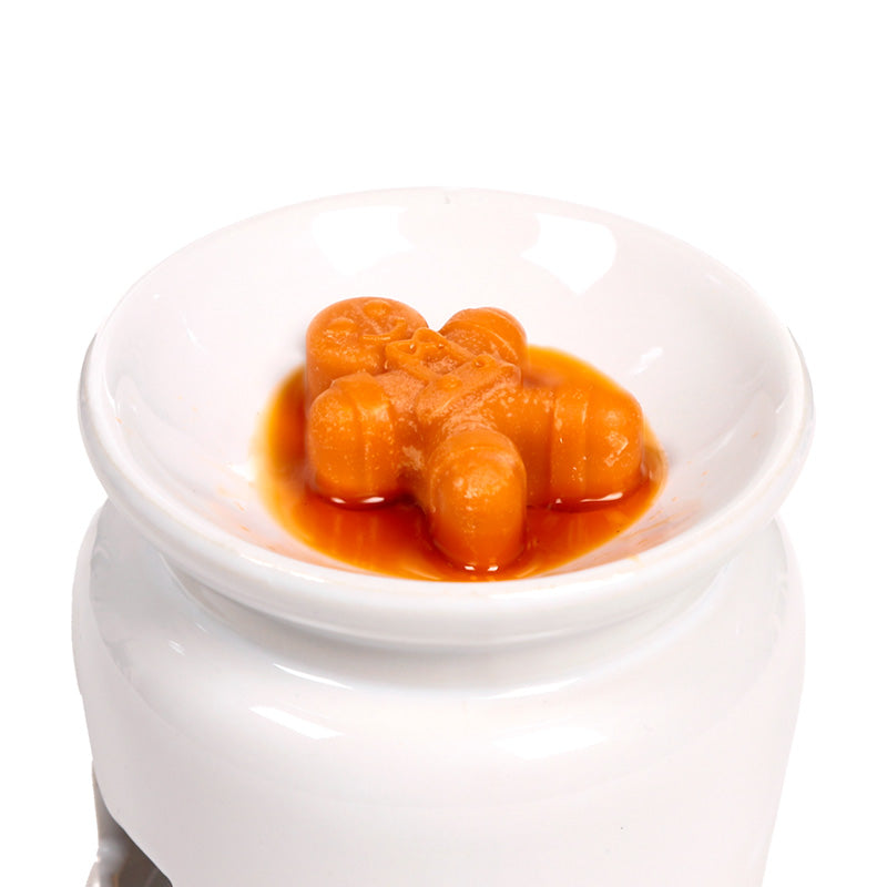 Cosy Christmas Jingle Bunch Set of 5 Shaped Wax Melts XWAX36