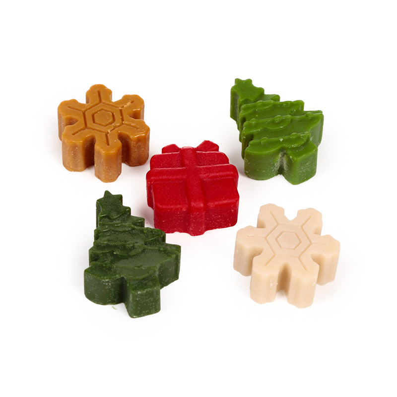 Winter Spice Christmas Botanicals Set of 5 Shaped Wax Melts XWAX37
