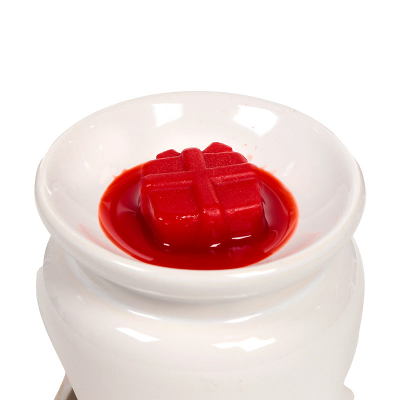 Winter Spice Christmas Botanicals Set of 5 Shaped Wax Melts XWAX37