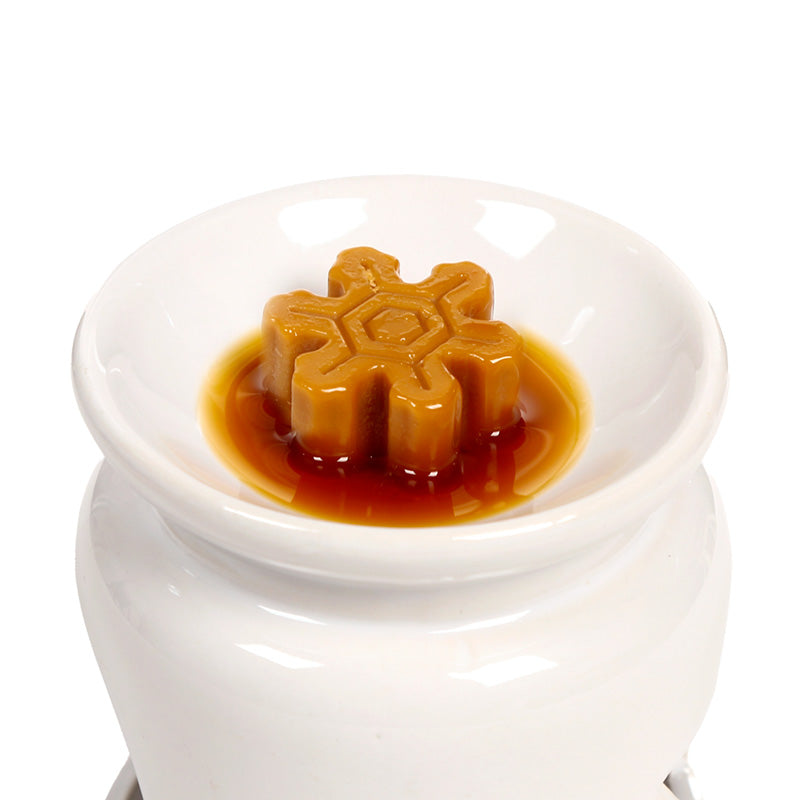 Winter Spice Christmas Botanicals Set of 5 Shaped Wax Melts XWAX37