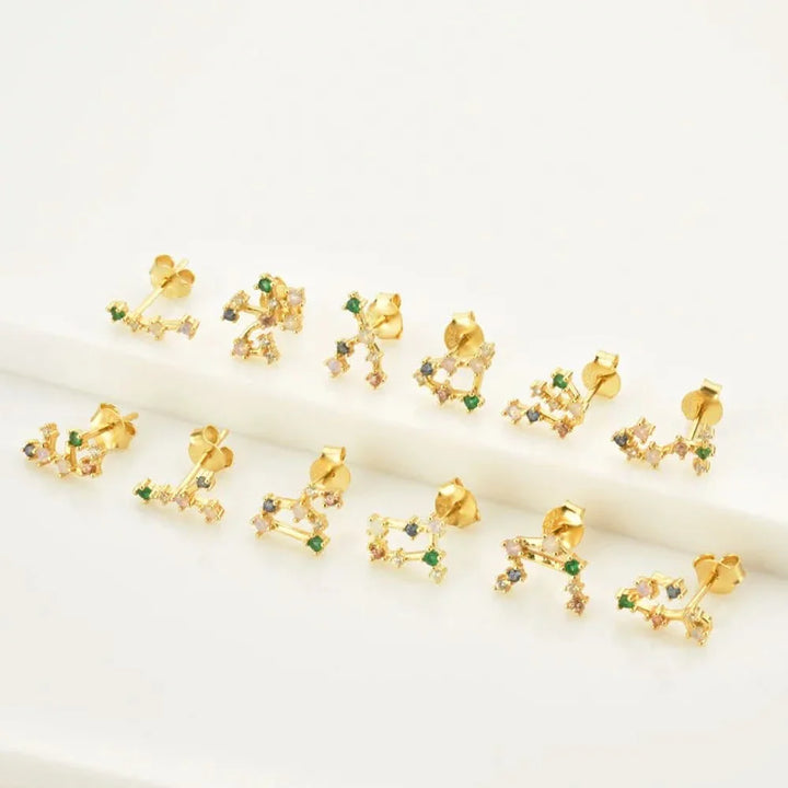 Birth Constellation Stud Earrings