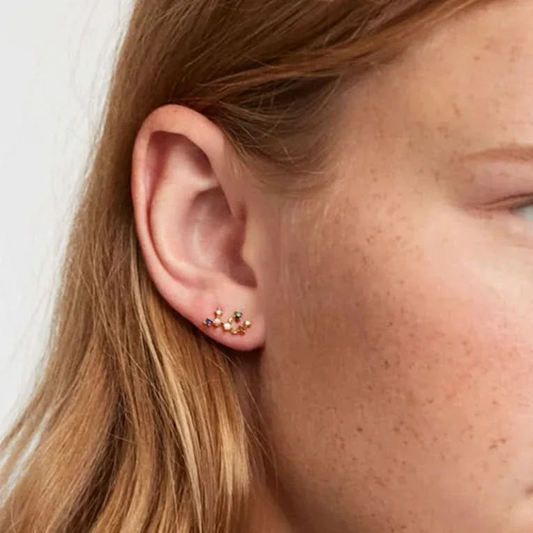 Birth Constellation Stud Earrings