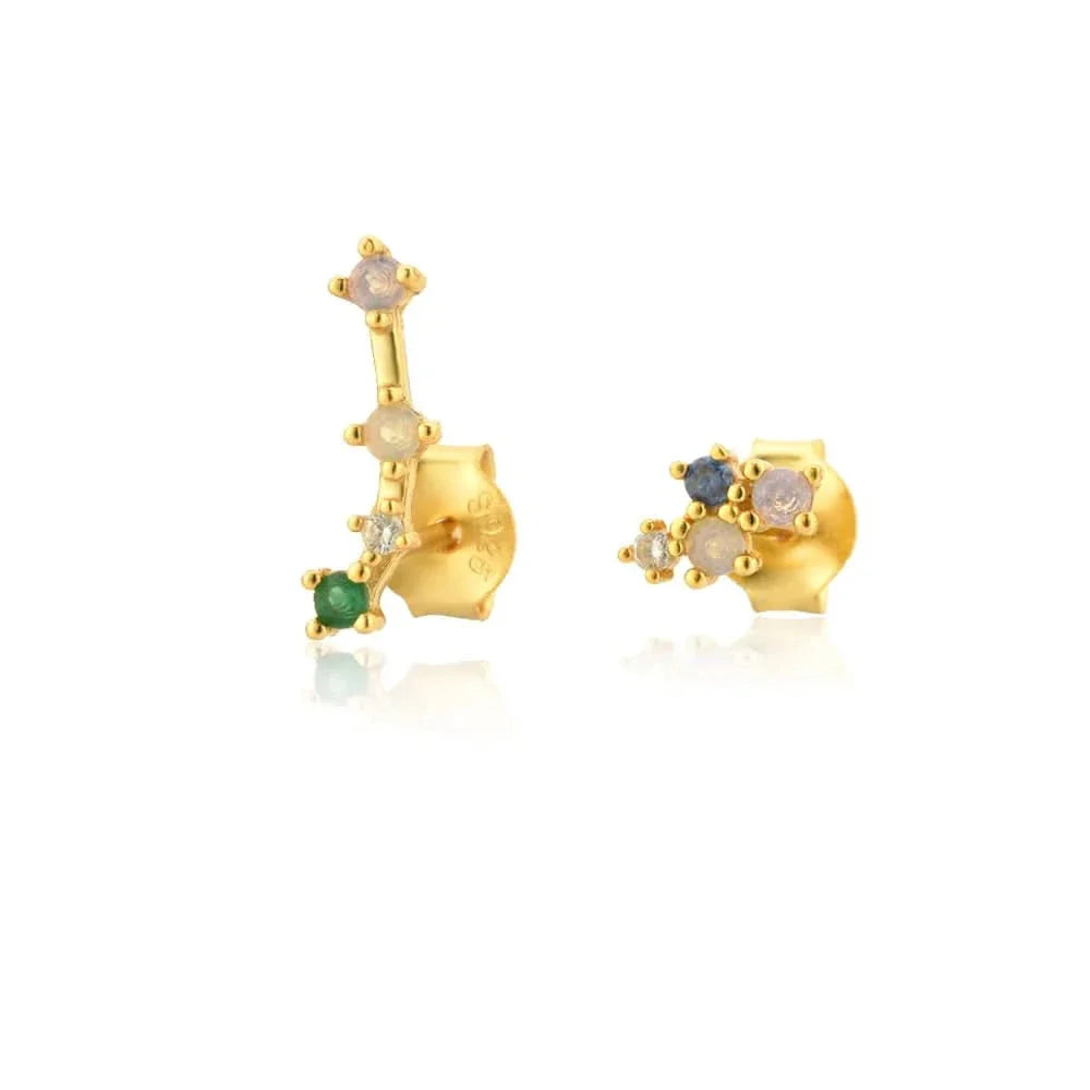 Birth Constellation Stud Earrings