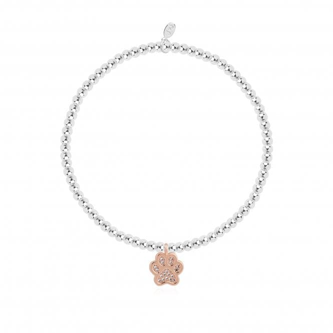 A Little A Little Love Has Four Paws Silver 17.5cm Stretch Bracelet 4303Joma Jewellery4303