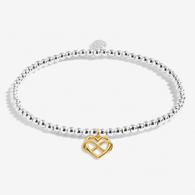 A Little Best Friend Forever Silver Gold Plated 15.5cm Bracelet C718Joma JewelleryC718