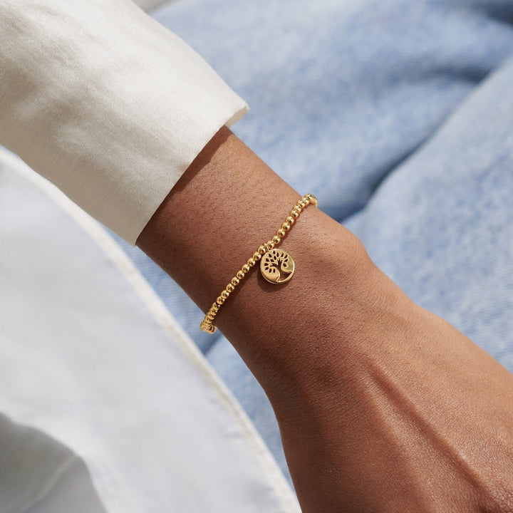 A Little Family Gold Plated Bracelet 8222Joma Jewellery8222