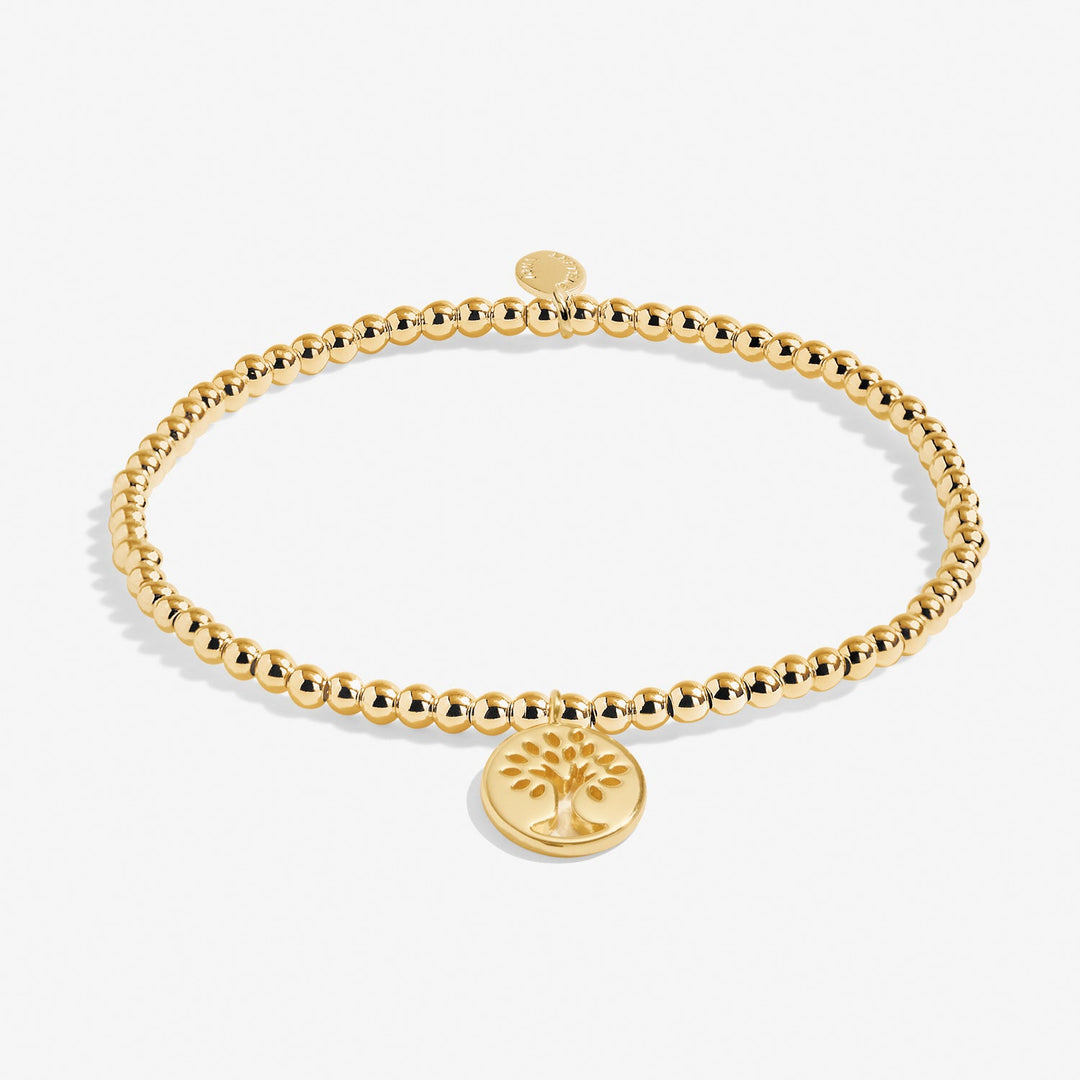 A Little Family Gold Plated Bracelet 8222Joma Jewellery8222