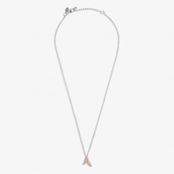 A Little 'Feathers Appear When Loved Ones Are Near' Silver 46cm + 5cm Extender Necklace 5279Joma Jewellery5279