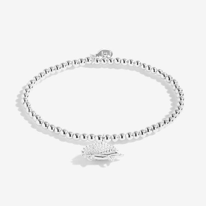 A Little Happy Hedgehog Silver 15.5cm Stretch Bracelet C553Joma JewelleryC553