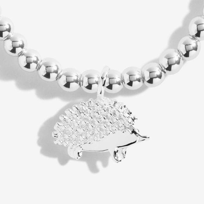 A Little Happy Hedgehog Silver 15.5cm Stretch Bracelet C553Joma JewelleryC553