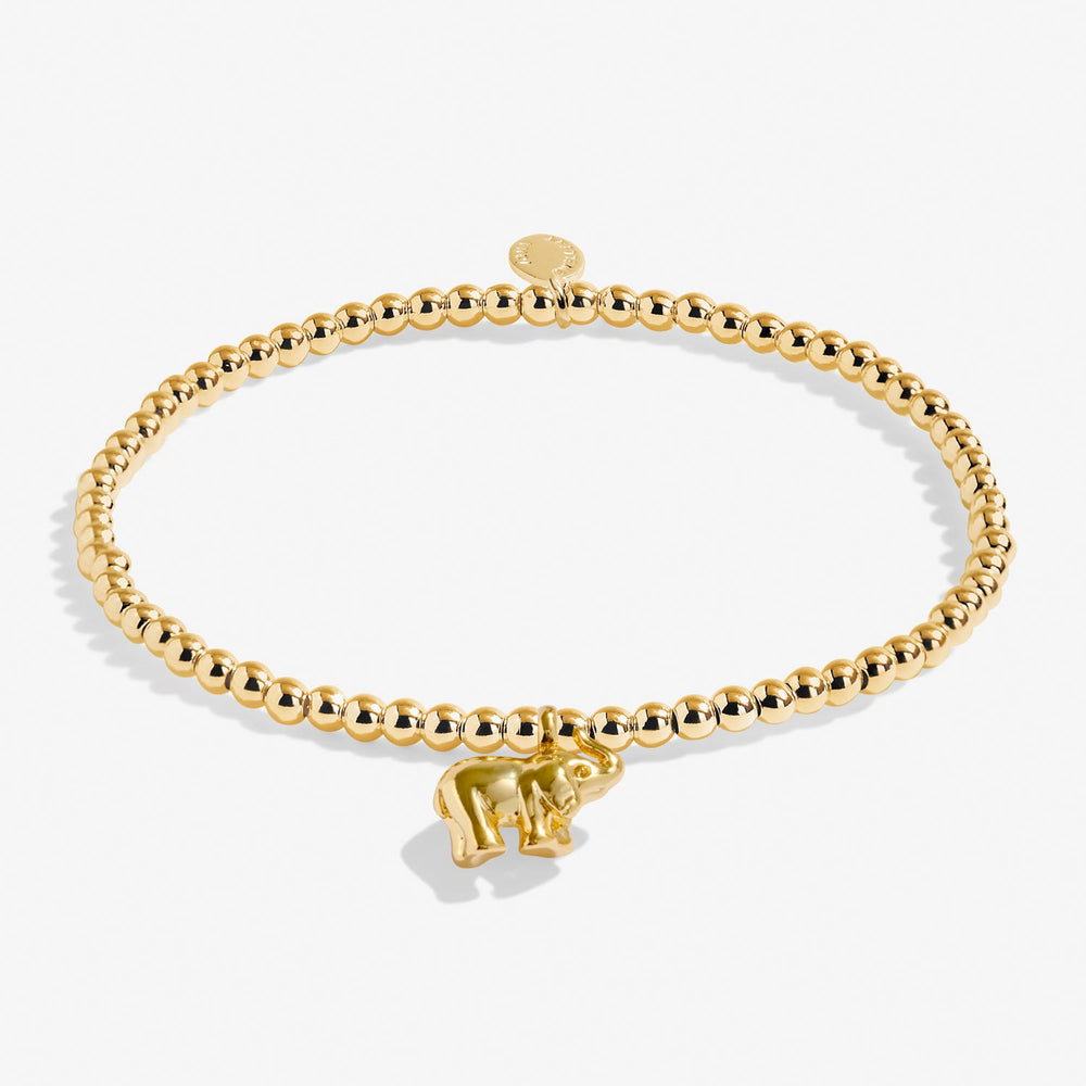 A Little Lucky Elephant Gold Plated Bracelet 8219Joma Jewellery8219