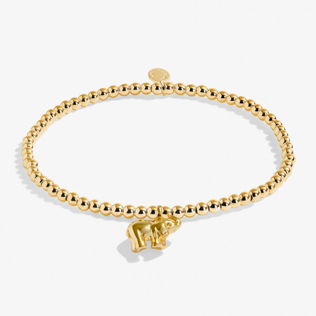 A Little Lucky Elephant Gold Plated Bracelet 8219Joma Jewellery8219