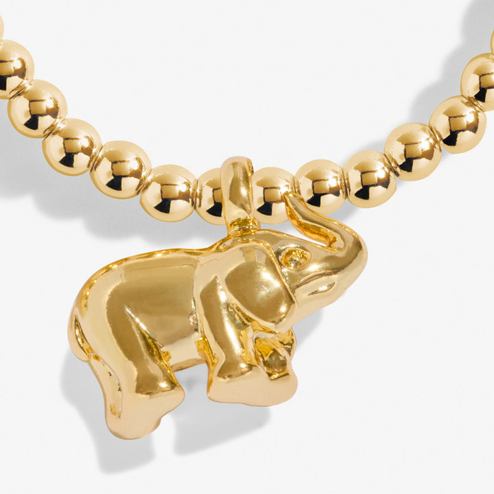 A Little Lucky Elephant Gold Plated Bracelet 8219Joma Jewellery8219