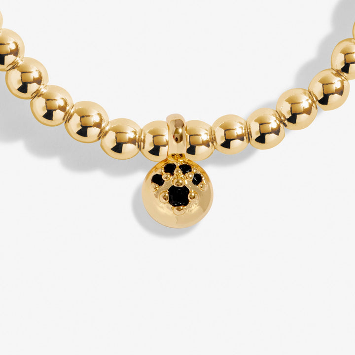 A Little Paw Print Gold Plated Bracelet 8216Joma Jewellery8216