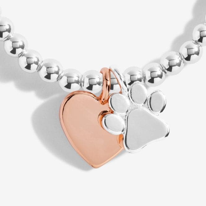 A Little Puppy Love Silver 17.5cm Stretch Bracelet 5230Joma Jewellery5230