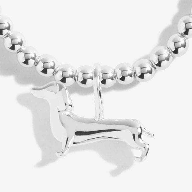 A Little Silly Sausage Silver 15.5cm Stretch Bracelet C560Joma JewelleryC560