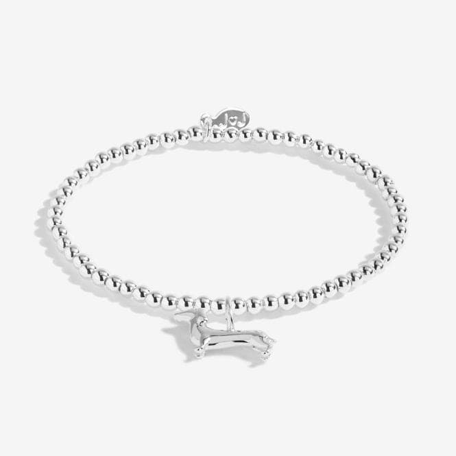 A Little Silly Sausage Silver 15.5cm Stretch Bracelet C560Joma JewelleryC560