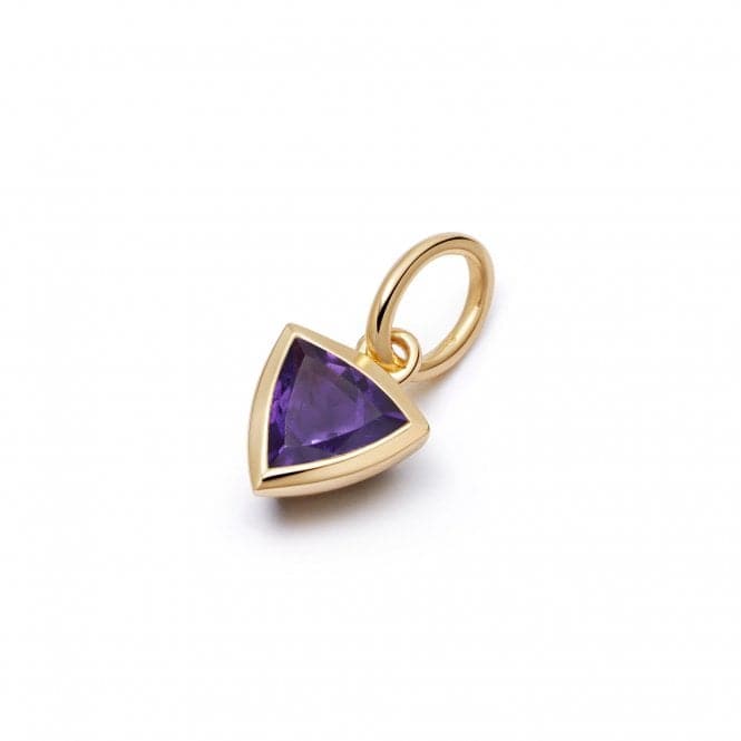 Amethyst February Birthstone 18ct Gold Plated Charm PBS14_GPDaisyPBS14_GP