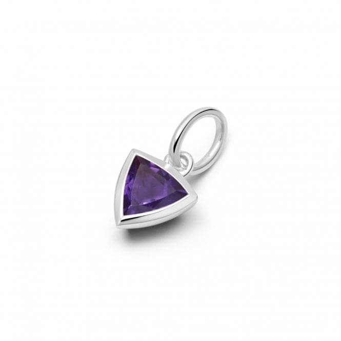 Amethyst February Birthstone Sterling Silver Charm PBS14_SLVDaisyPBS14_SLV