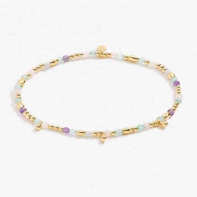 Anklet Multi Stone Gold Plated Anklet 23cm Stretch Anklet 6943Joma Jewellery6943
