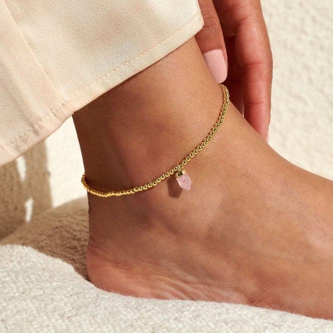 Anklet Rose Quartz Crystal Gold Plated Anklet 23cm Stretch Anklet 6945Joma Jewellery6945