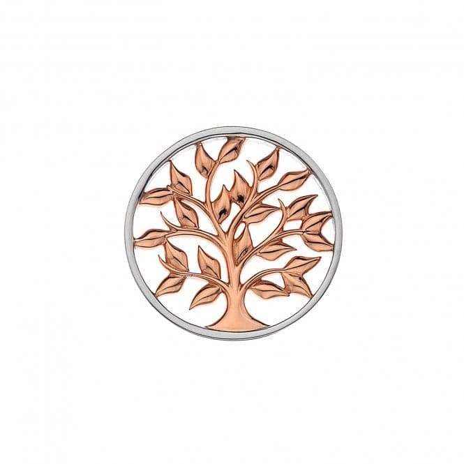 Balance Harmony Rose Gold Plate 33mm Brass Coin EC479EmozioniEC479