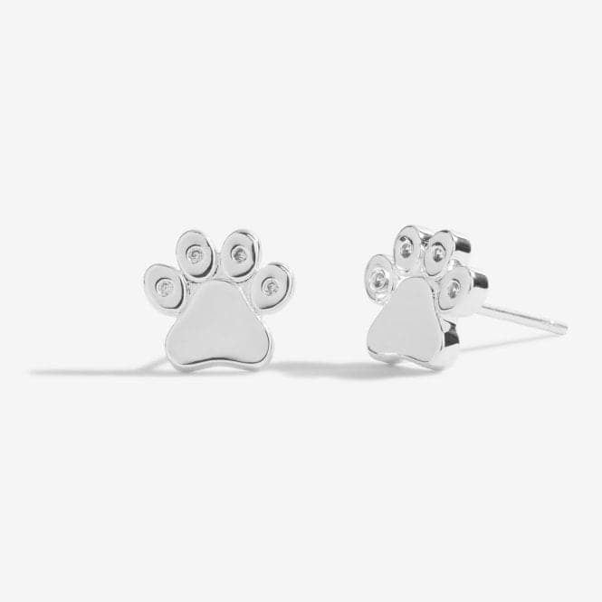 Beautifully Boxed A Little Love Has Four Paws Silver Box Earrings 5308Joma Jewellery5308