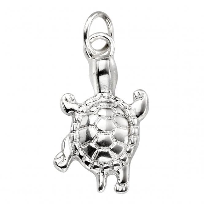 Beginnings Sterling Silver P4455 Turtle PendantBeginningsP4455