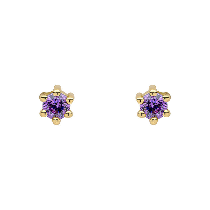 Beginnings Sterling Silver Purple Cubic Zirconia Amethyst Earrings E6468MBeginningsE6468M