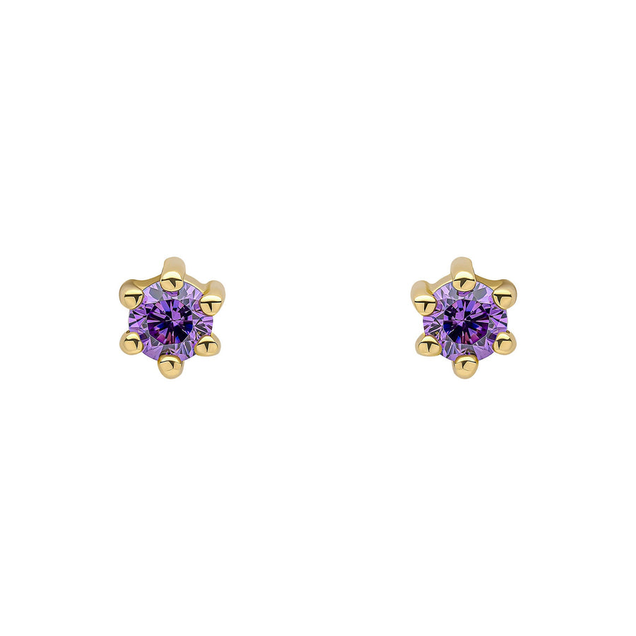 Beginnings Sterling Silver Purple Cubic Zirconia Amethyst Earrings E6468MBeginningsE6468M