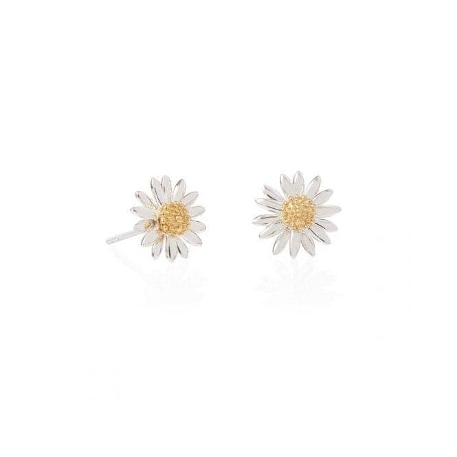 Bellis Daisy Stud 10mm Earrings E2005DaisyE2005