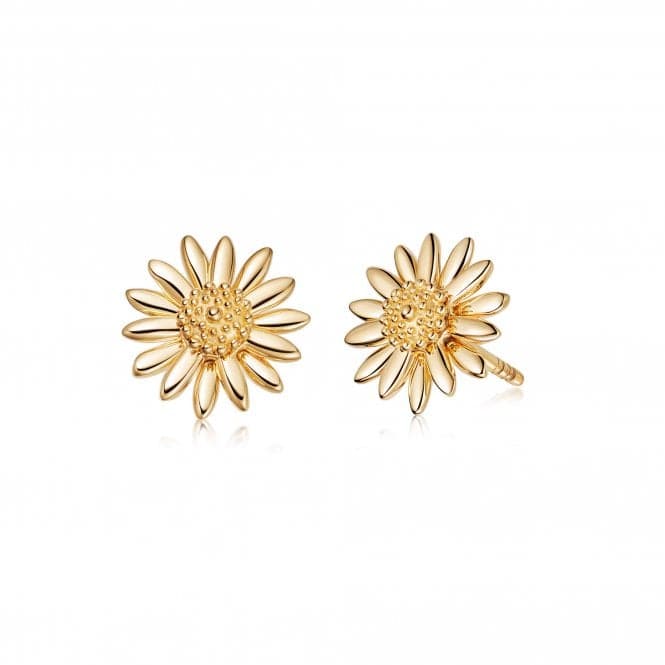 Bellis Daisy Stud 18ct Gold Plated Earrings E2005_GPDaisyE2005_GP