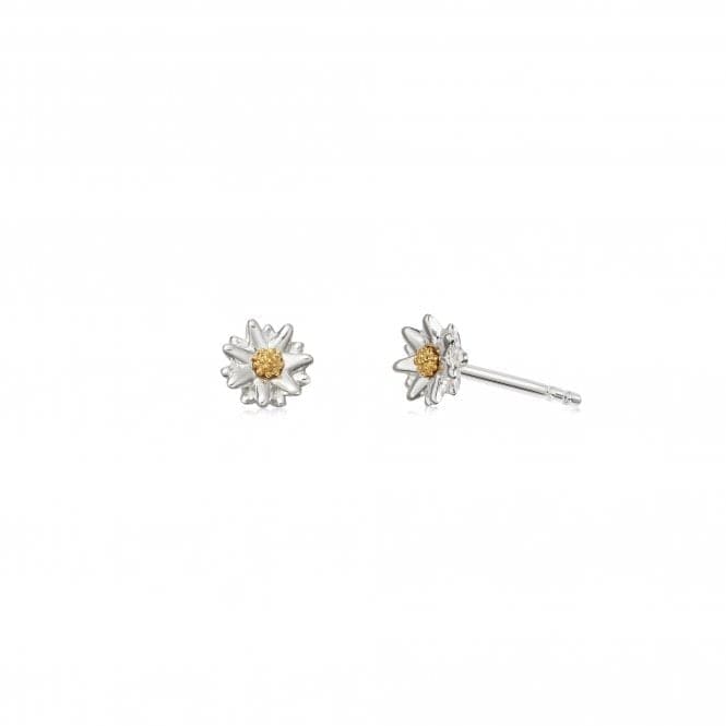 Bellis Daisy Stud 5mm Earrings E2001DaisyE2001