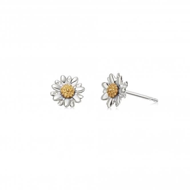 Bellis Daisy Stud 8mm Earrings E2004DaisyE2004