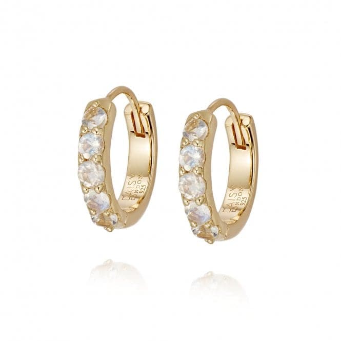 Beloved Moonstone Huggie 18ct Gold Plated Earrings JE05_GPDaisyJE05_GP