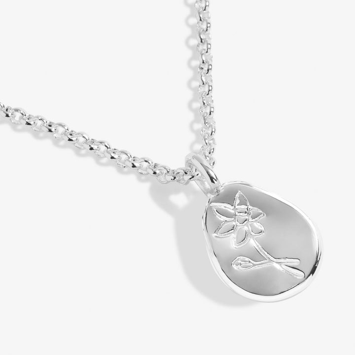 Birth Flower A Little December Narcissus Silver Plated Necklace 7470Joma Jewellery7470