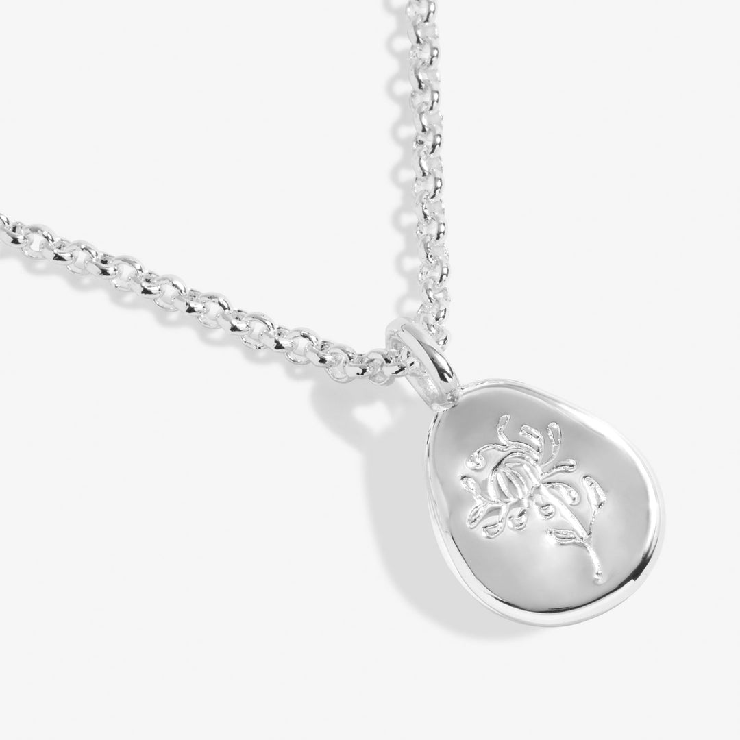 Birth Flower A Little November Chrysanthemum Silver Plated Necklace 7469Joma Jewellery7469