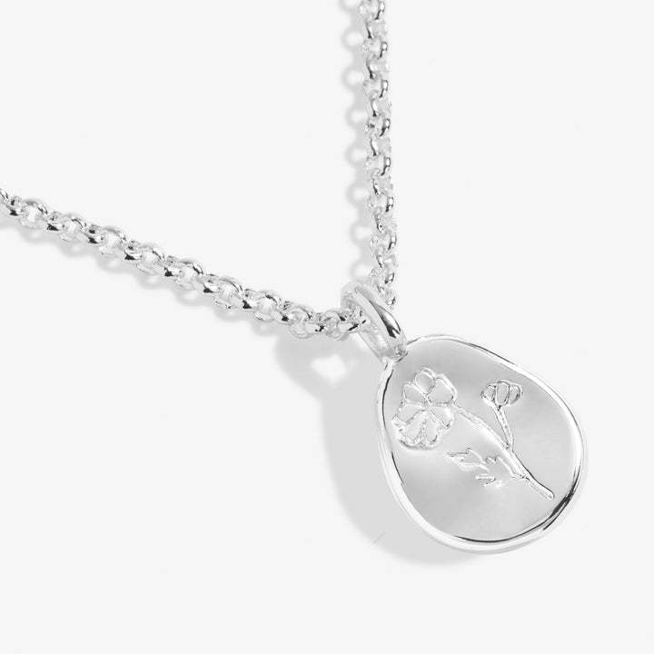 Birth Flower A Little October Cosmos Silver Plated Necklace 7468Joma Jewellery7468