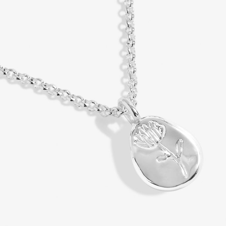 Birth Flower A Little September Aster Silver Plated Necklace 7467Joma Jewellery7467