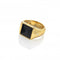 Black Onyx Signet Ring DR256Hot Diamonds x Jac JossaDR256/L